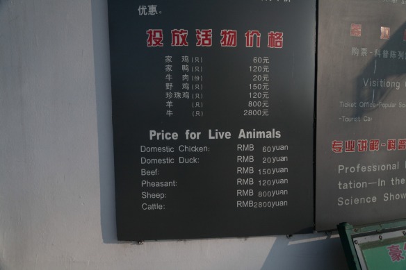 Price for Live Animals